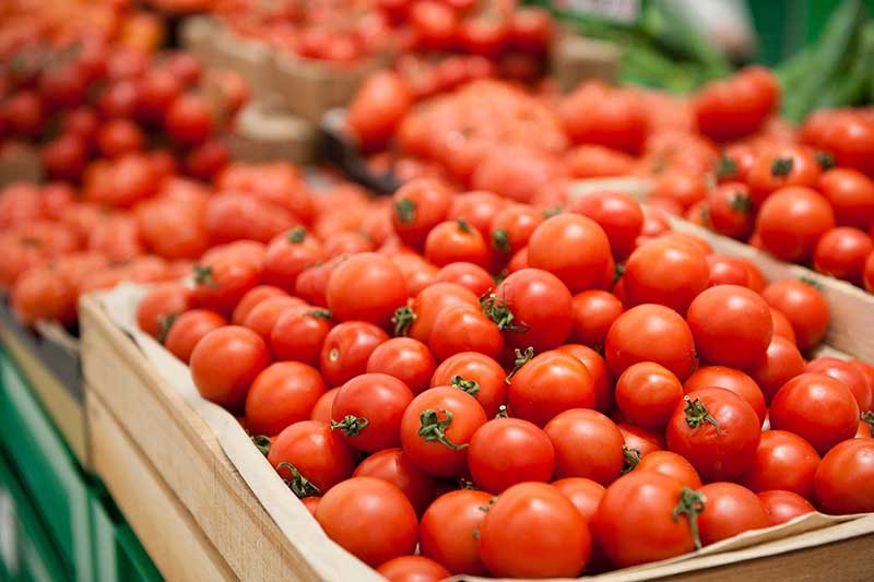 Как заставить помидоры покраснеть быстрее - Усадебное хозяйство в Якутии