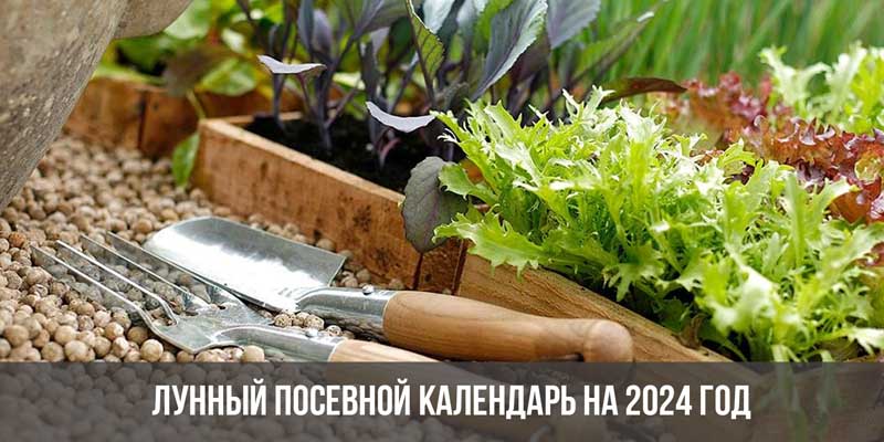 Лунный посевной календарь на 2024 год - Усадебное хозяйство в Якутии